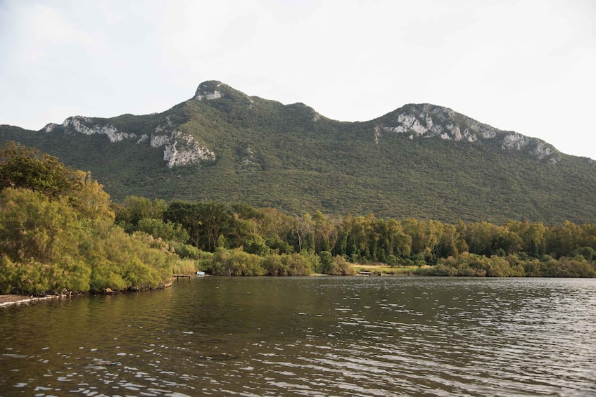 Picture 4 for Activity Circeo National Park:Guided kayak tour on the Lake Sabaudia