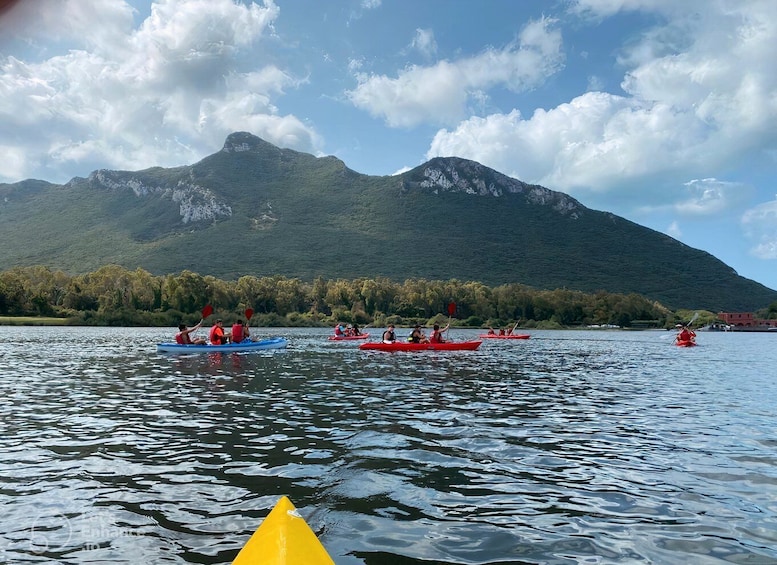 Picture 3 for Activity Circeo National Park:Guided kayak tour on the Lake Sabaudia