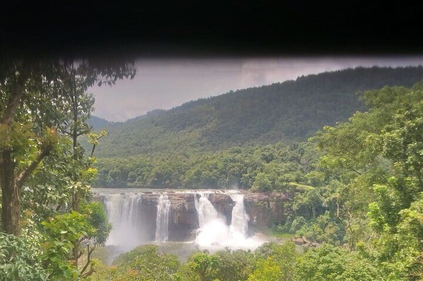 Tracking Tour in Munnar