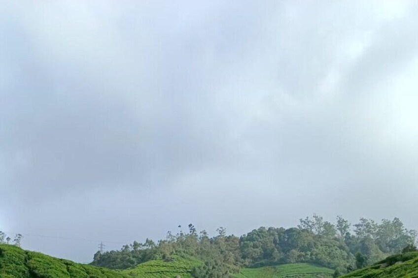 Tracking Tour in Munnar