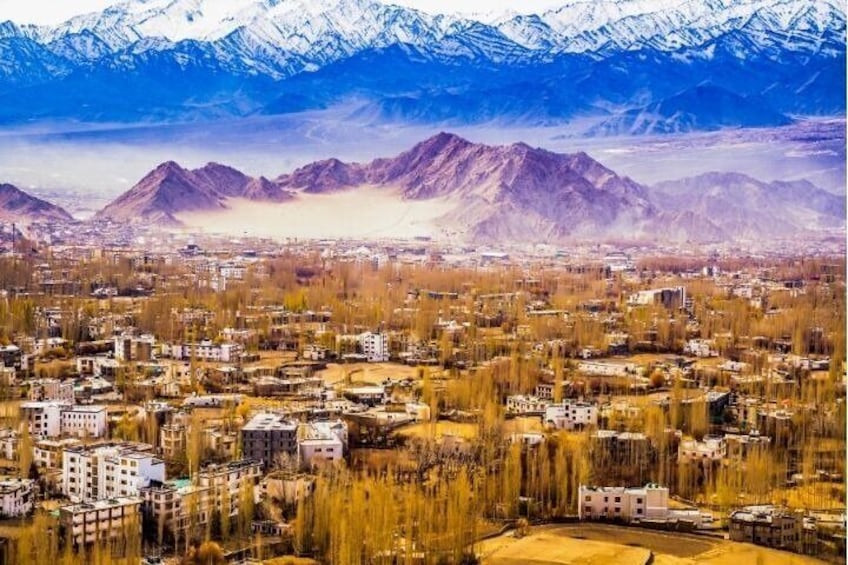 View of Leh City