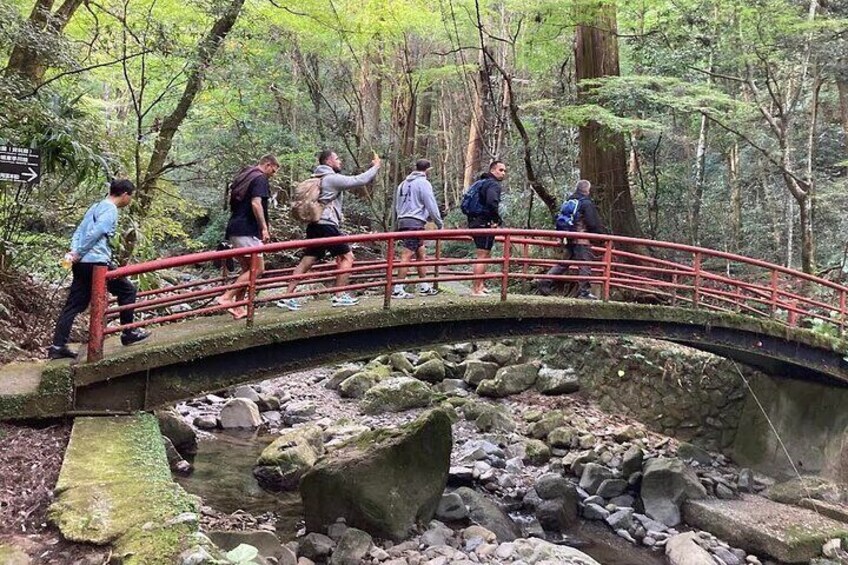 Leg Waterfall Training Experience at Mt. Inunaki in Osaka