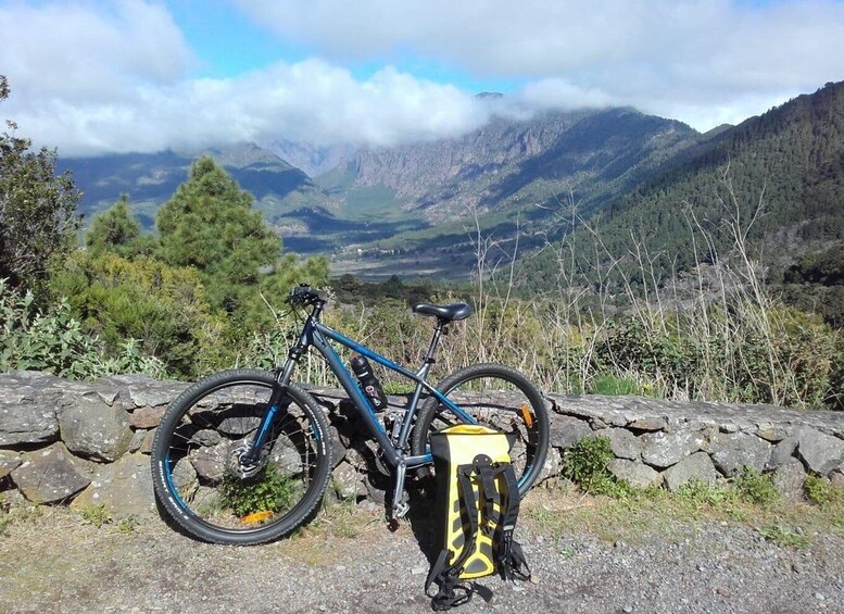 Picture 2 for Activity La Palma: Discover the "isla bonita" with electric bike