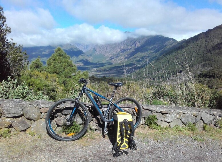 Picture 2 for Activity La Palma: Discover La Palma on your own with electric bike