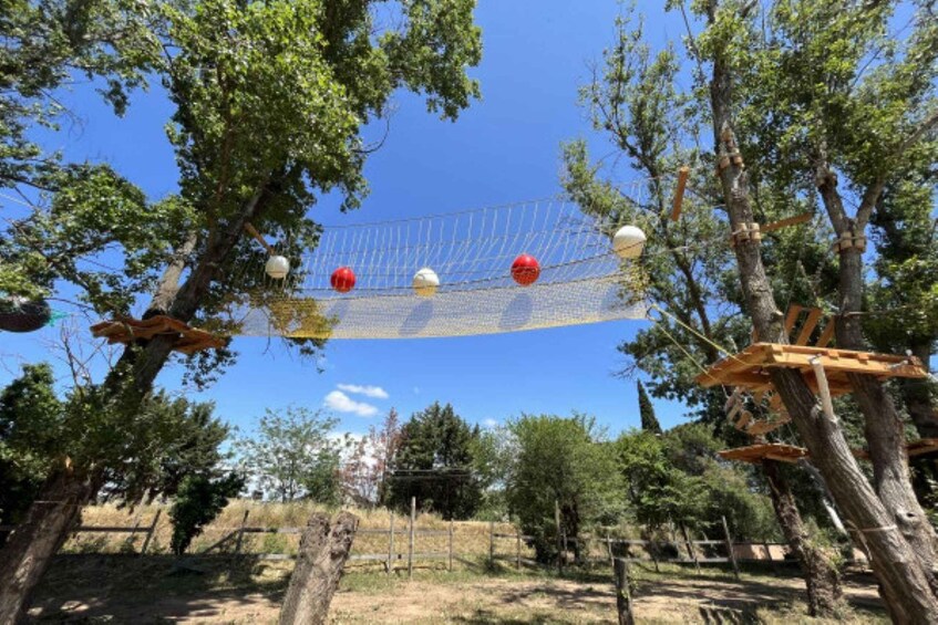 Picture 1 for Activity Roquebrune-sur-Argens:Treetop,Giant Zipline & Wall Climbing