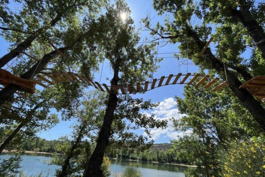 Picture 3 for Activity Roquebrune-sur-Argens:Treetop,Giant Zipline & Wall Climbing