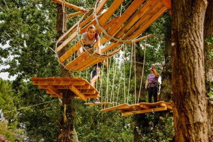 Roquebrune-sur-Argens:Treetop,Giant Zipline & Wall Climbing