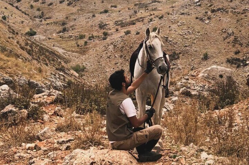 Lebanon Mountains Horseback Riding From Beirut