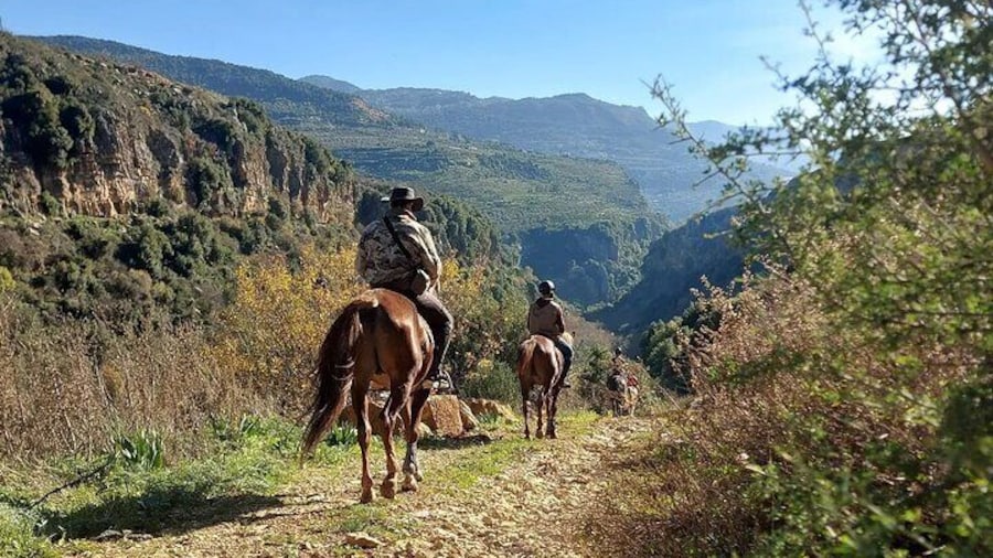 Lebanon Mountains Horseback Riding From Beirut