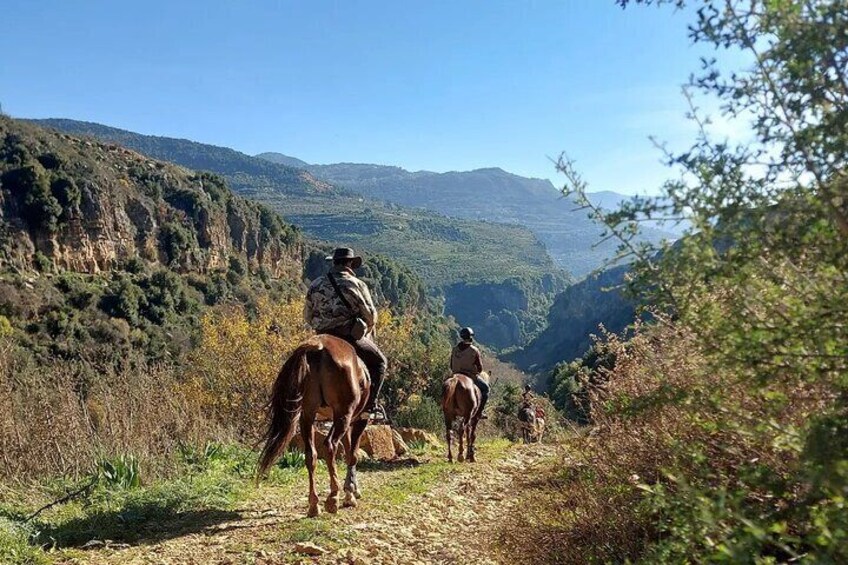 Lebanon Mountains Horseback Riding From Beirut