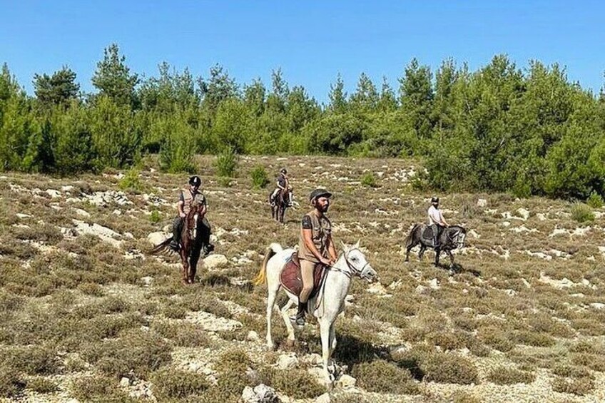 Lebanon Mountains Horseback Riding From Beirut