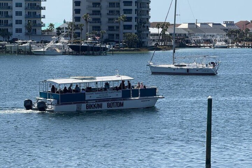 Sunset Dolphin Excursion