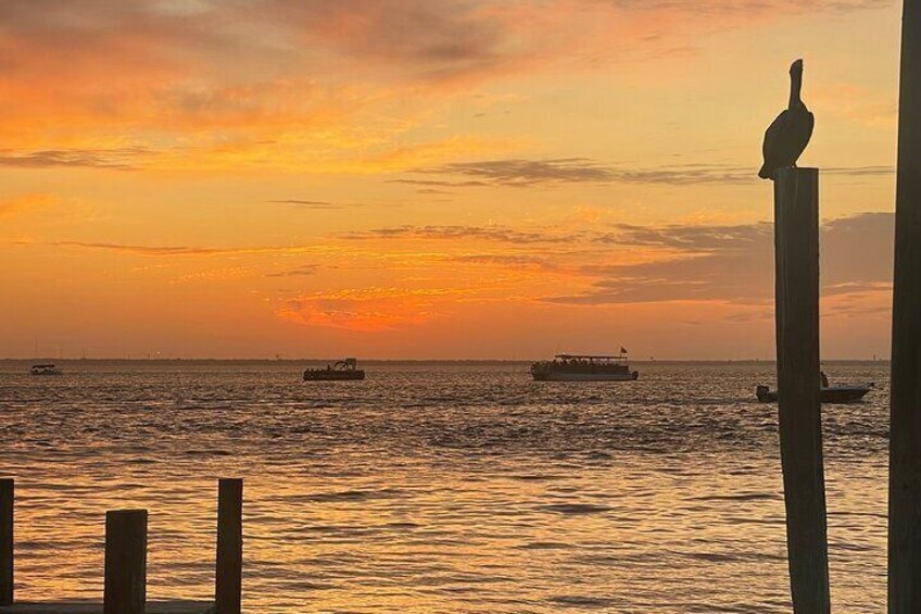 Dolphin Sunset Cruise in Destin with Bathroom on board!