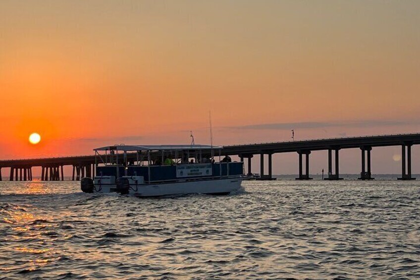 Sunset Dolphin Excursion