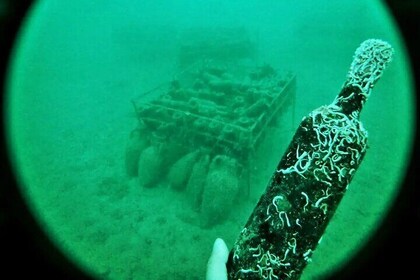 EXCLUSIVE Private Tour Our Lady of the Rock & Underwater Wine 3H