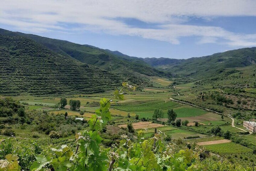 Berat 4x4 Off-Road and Vineyard Wine Tasting