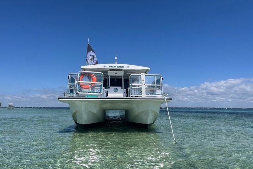 4 Hour Family Friendly Dolphin and Crab Island Excursion