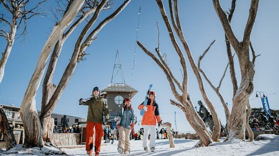 Snowy Escapes Tour Adventure in Mount Buller Alpine Australia