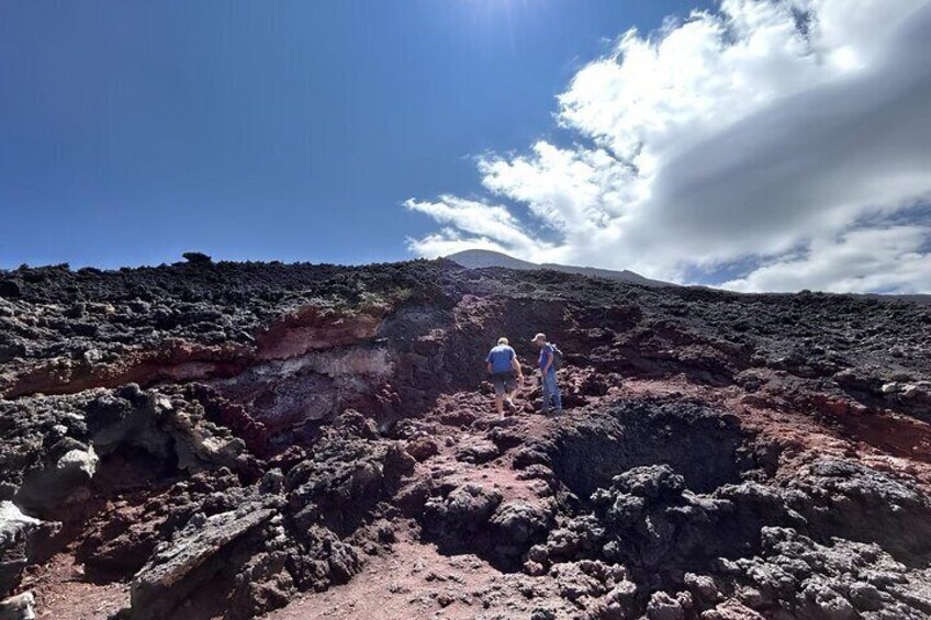 Pacaya Volcano Tour From Antigua in English and Spanish