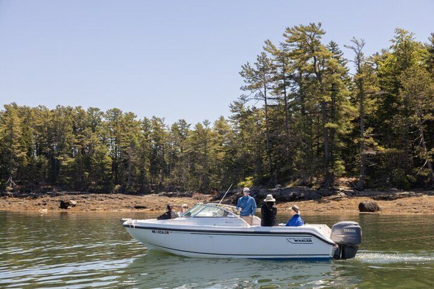 Half-Day Maine Seafood Adventure