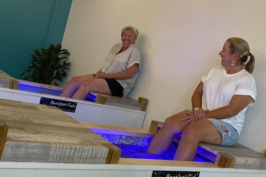 Enjoy a Fish Spa at Barefoot Fish!