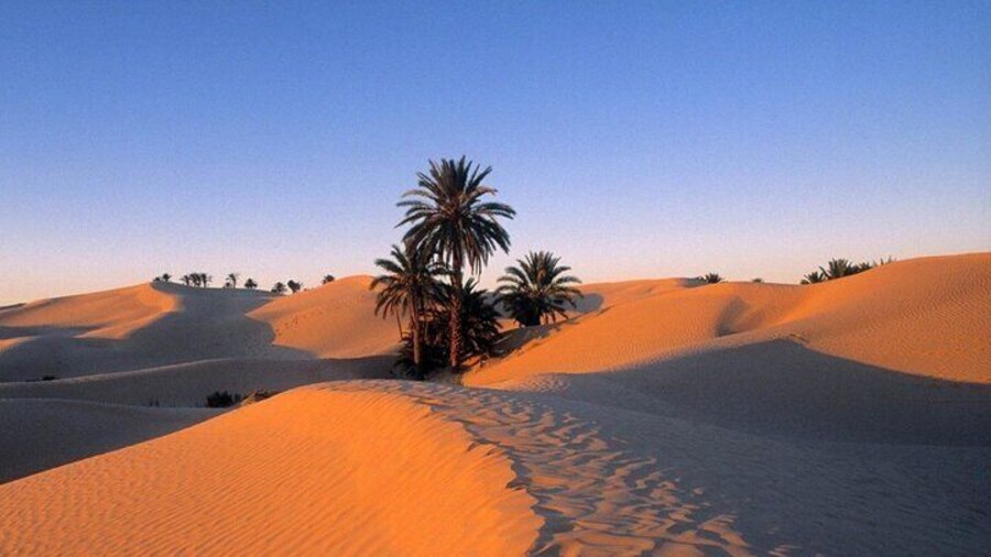 3 Days Between Bedouin Tent and Berber Chalet in the Tunisian Desert