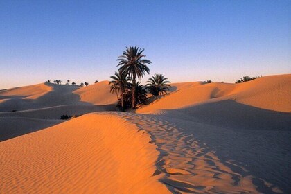 3 Days Between Bedouin Tent and Berber Chalet in the Tunisian Desert