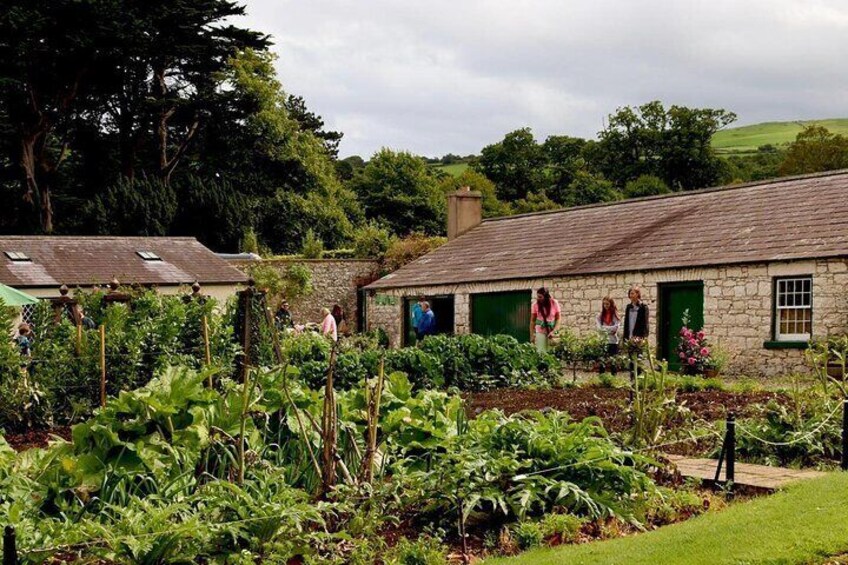 Private Tour - Irish Walled Garden, Nature & Giants Causeway