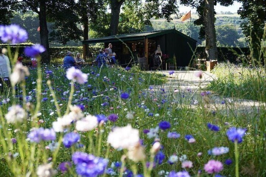 Private Tour - Irish Walled Garden, Nature & Giants Causeway