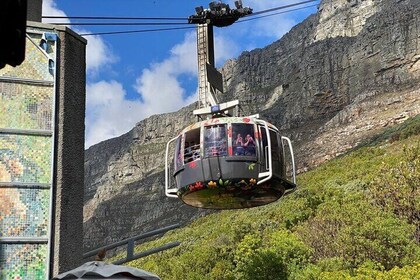 7-Hour Private Guided Tour in Table Mountain and Robben Island