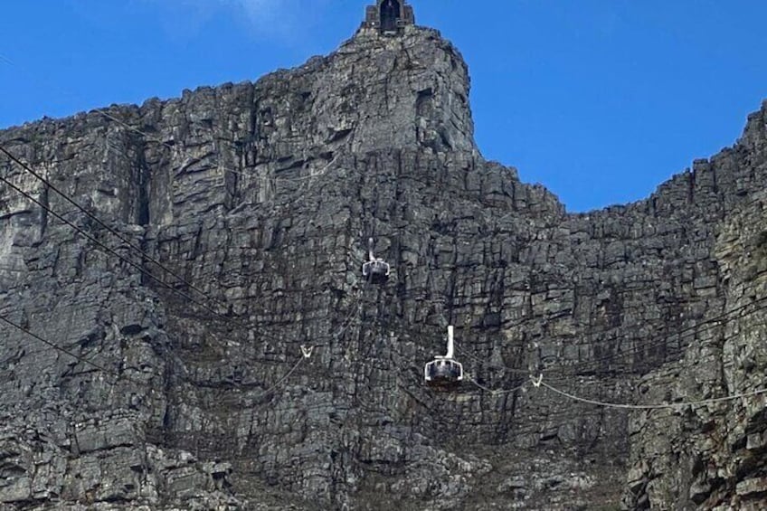 7-Hour Private Guided Tour in Table Mountain and Robben Island