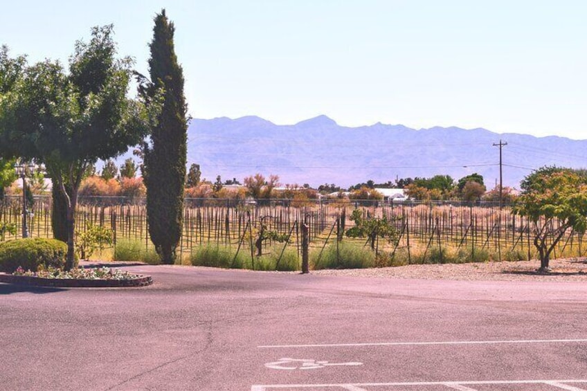 Wine Tasting & Snacks in Pahrump / Las Vegas