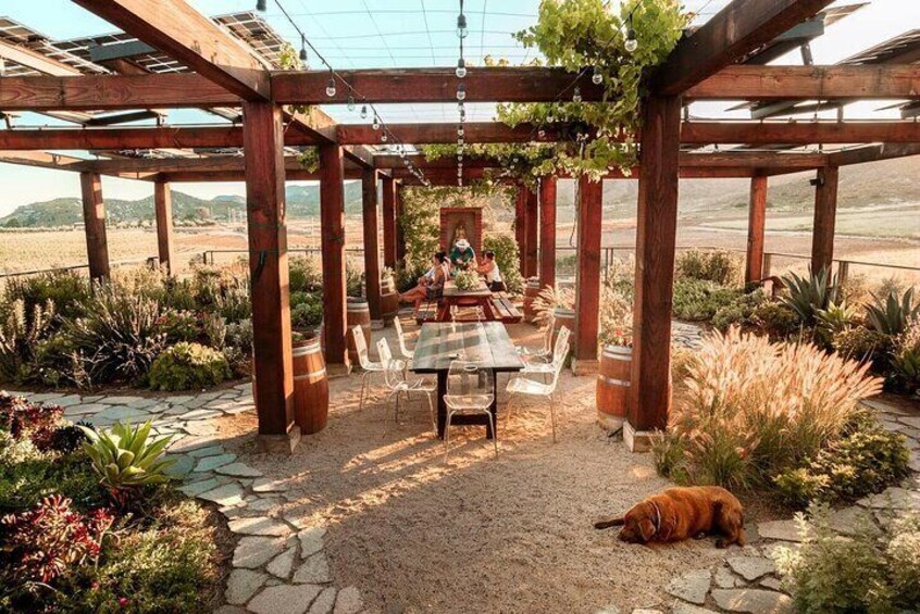 Valle De Guadalupe, Ensenada