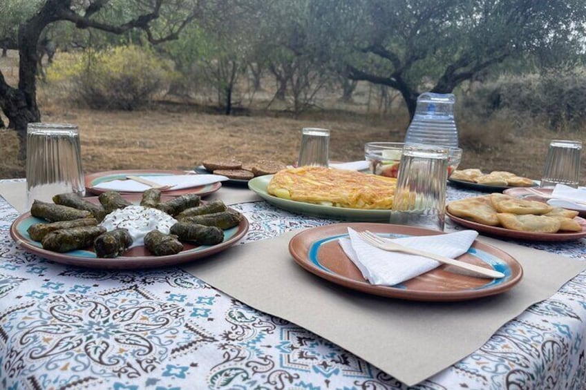 Heraklion:Olive & Dragon Fruit Farm Tour & Cretan Farmers Brunch