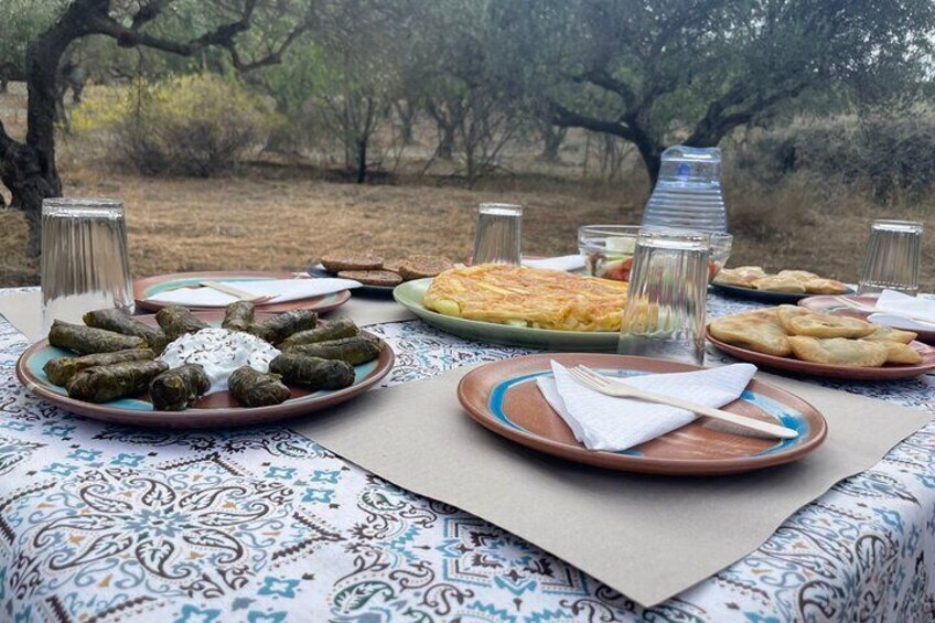 Heraklion:Olive & Dragon Fruit Farm Tour & Cretan Farmers Brunch