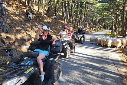 Skywalk Biokovo ATV Quad Tour