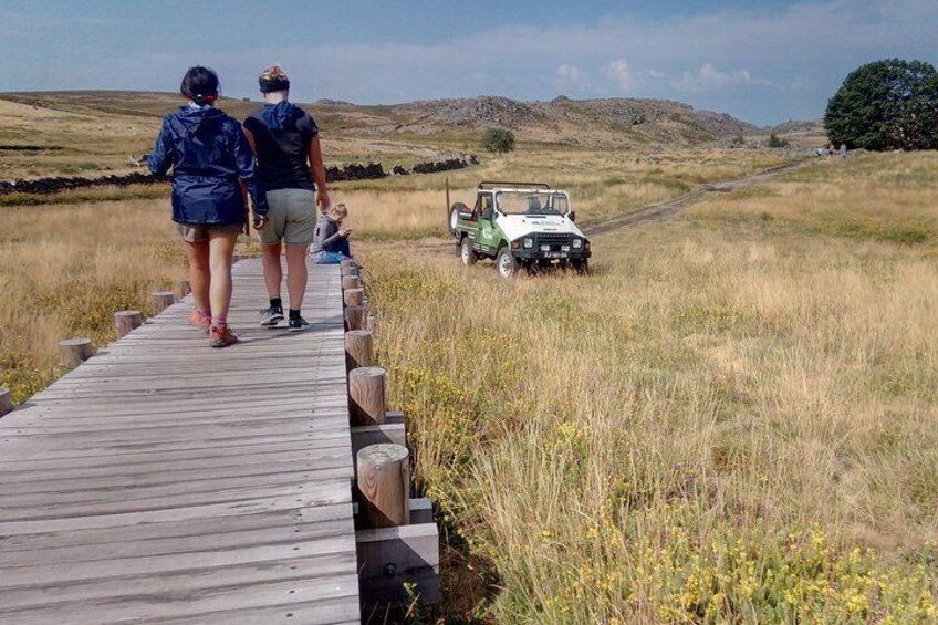 From Arouca: Freita Mountain [Arouca Geopark]- Jeep Tour