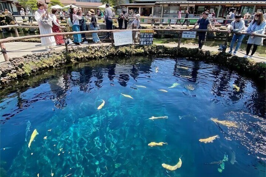 Oshino Hakkai, Ole Hot Spring in Mount Fuji day Tour