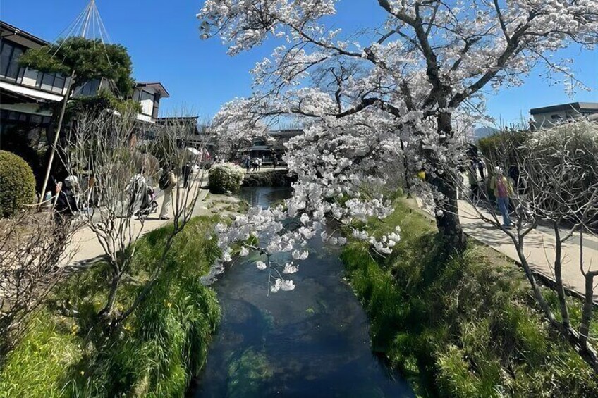 Oshino Hakkai, Ole Hot Spring in Mount Fuji day Tour