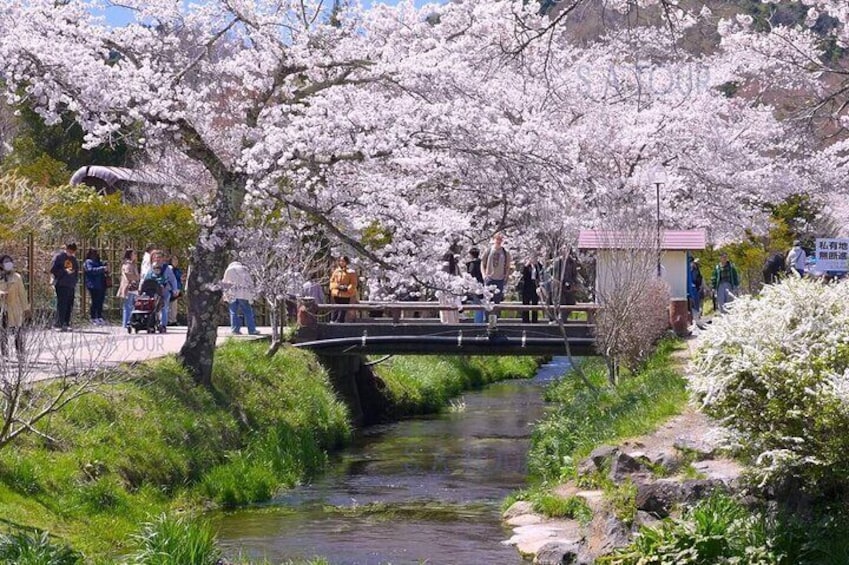 Oshino Hakkai, Ole Hot Spring in Mount Fuji day Tour