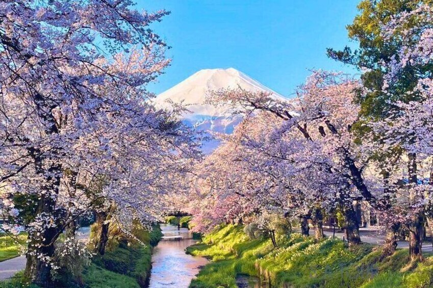 Oshino Hakkai, Ole Hot Spring in Mount Fuji day Tour