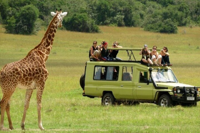 7 Day Tour to Durban to CapeTown, Garden Route & Addo National Pk