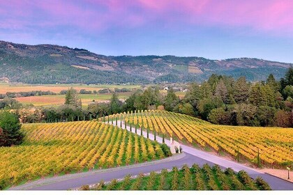 6 Hour Custom Napa or Sonoma Private Wine Tour