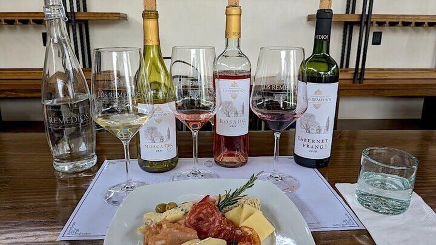 Tasting of 3 Wines with Cheese and Cold Meat Board