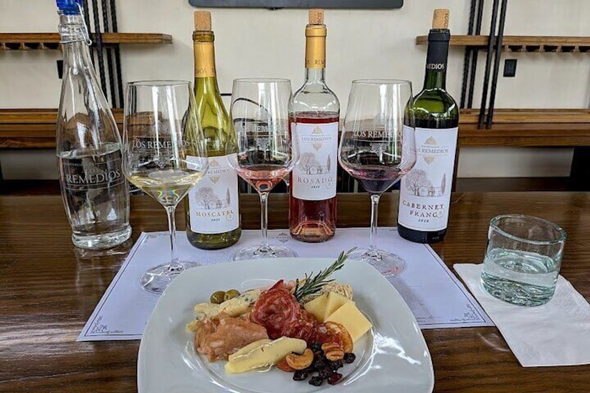 Tasting of 3 Wines with Cheese and Cold Meat Board