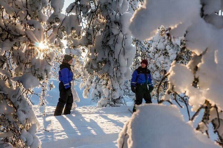 Scenic Levi Snowshoe Trip