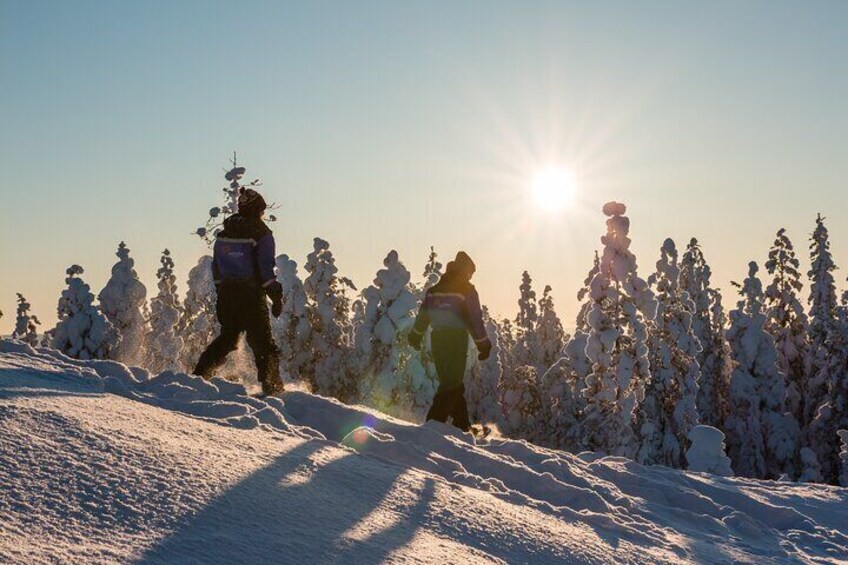 Scenic Levi Snowshoe Trip