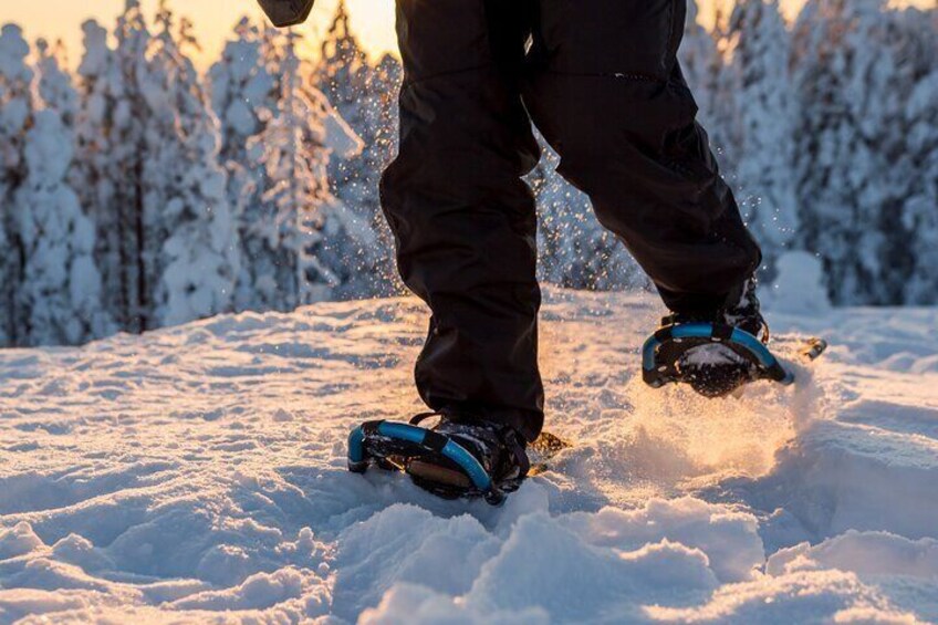 Scenic Levi Snowshoe Trip