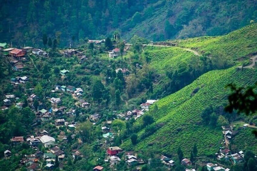  Sikkim , Kalimpong & Darjeeling, Inclusive grand tour. 