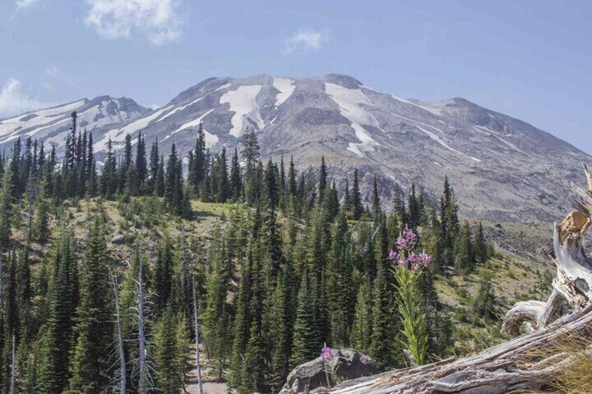 From Portland to Mt. Saint Helen Tour in a small group